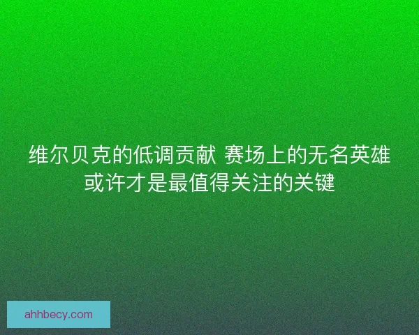 维尔贝克的低调贡献 赛场上的无名英雄或许才是最值得关注的关键